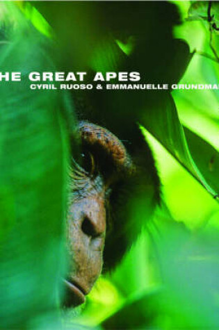 Cover of The Great Apes