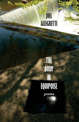 Book cover for The Body in Equipoise