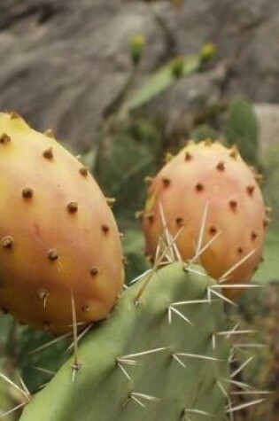 Cover of Cool Prickly Pear Cactus Journal