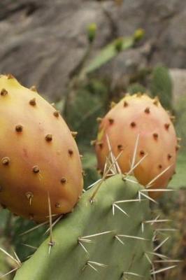 Book cover for Cool Prickly Pear Cactus Journal