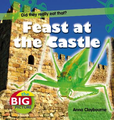 Cover of Feast at the Castle