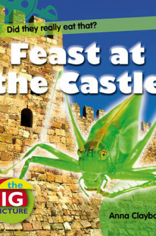 Cover of Feast at the Castle