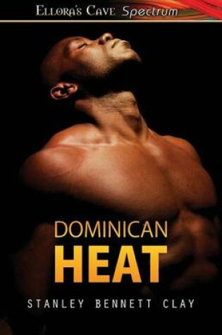 Cover of Dominican Heat