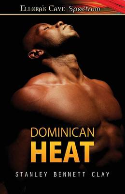 Book cover for Dominican Heat