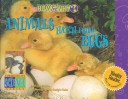 Book cover for Animals Hatch from Eggs