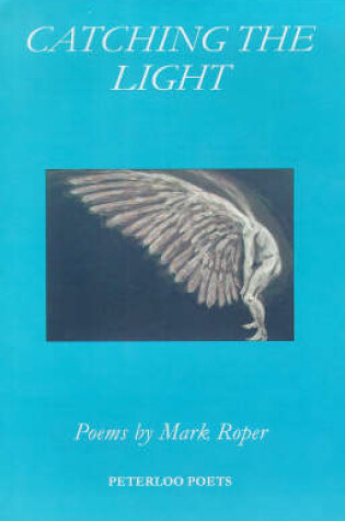 Cover of Catching the Light