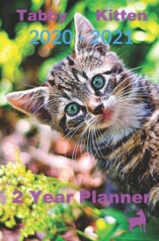 Cover of Tabby Kitten 2020 - 2021 2 Year Planner