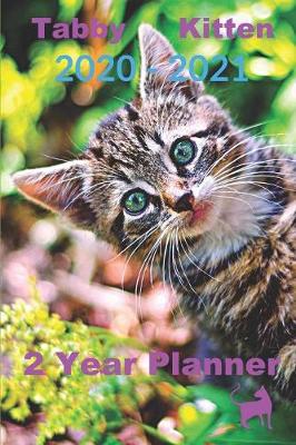 Book cover for Tabby Kitten 2020 - 2021 2 Year Planner