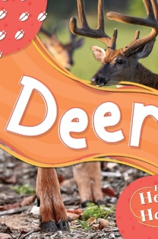 Cover of Deer