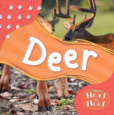 Book cover for Deer