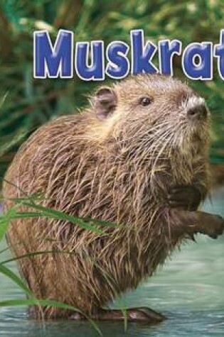 Cover of Muskrat