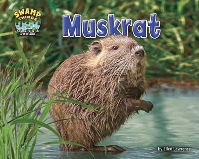 Book cover for Muskrat