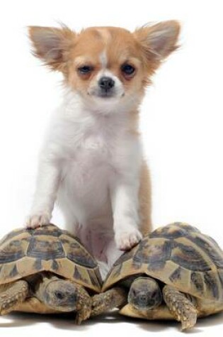 Cover of Chihuahua on Two Turtles (for the Love of Dogs)