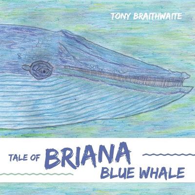 Book cover for Tale of Briana Blue Whale