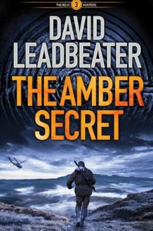 Cover of The Amber Secret