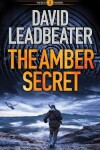 Book cover for The Amber Secret