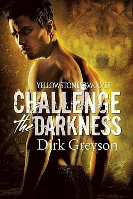 Book cover for Challenge the Darkness