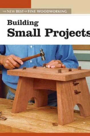 Cover of Building Small Projects