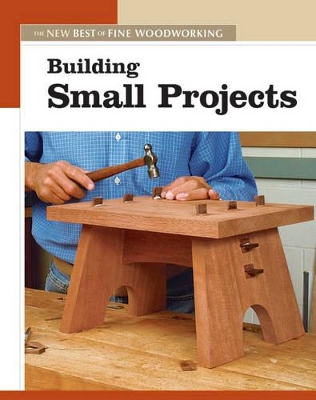 Book cover for Building Small Projects