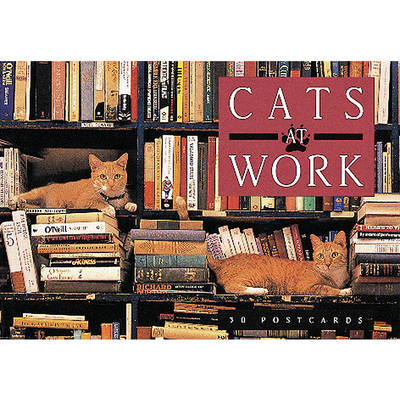 Book cover for Cats at Work Postcard Book