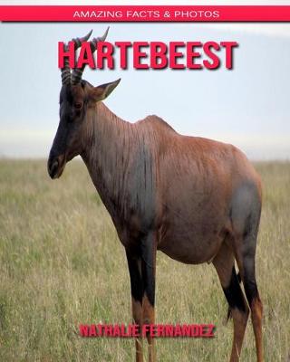 Book cover for Hartebeest