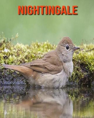 Book cover for Nightingale