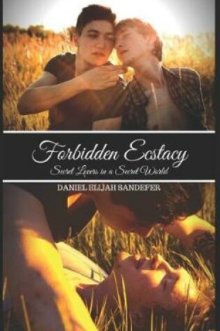 Cover of Forbidden Ecstacy