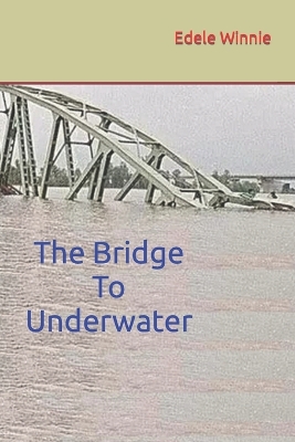 Book cover for The Bridge To Underwater