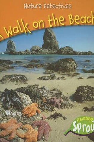 Cover of A Walk on the Beach