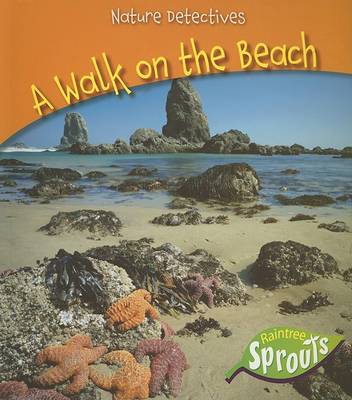 Book cover for A Walk on the Beach