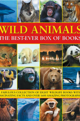 Cover of Wild Animals Best Ever Box of Books