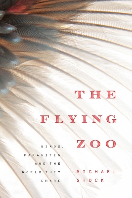 Book cover for The Flying Zoo