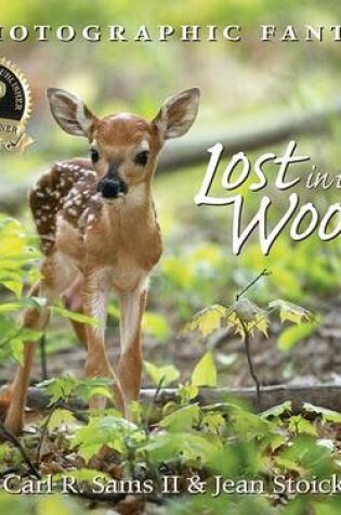 Cover of Lost in the Woods