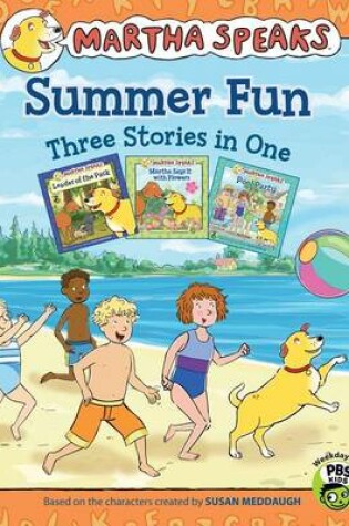 Cover of Summer Fun