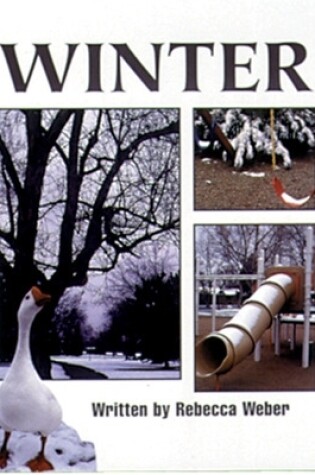 Cover of Winter (13)