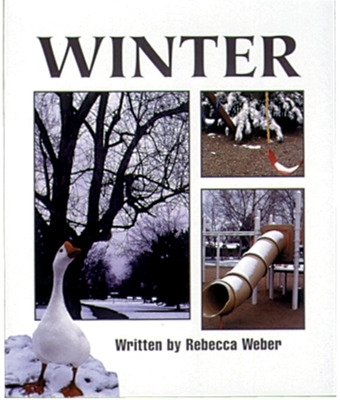 Book cover for Winter (13)