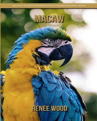 Book cover for Macaw