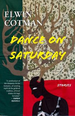 Book cover for Dance on Saturday