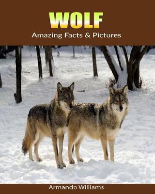 Book cover for Wolf