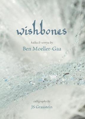 Book cover for Wishbones