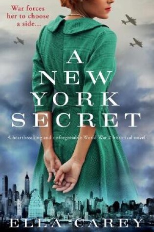Cover of A New York Secret