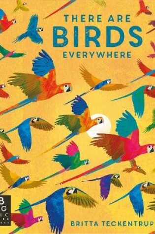 Cover of There are Birds Everywhere