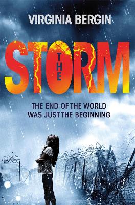 The Storm by Virginia Bergin