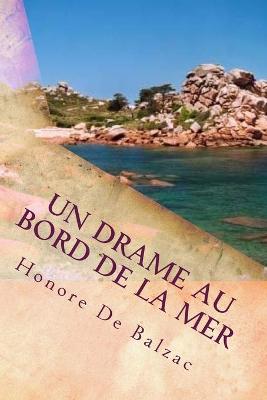 Book cover for Un drame au bord de la mer