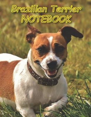 Book cover for Brazilian Terrier NOTEBOOK