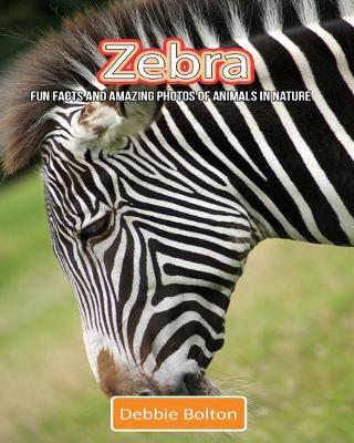 Book cover for Zebra