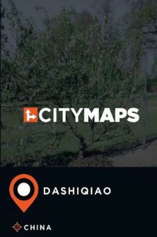 Cover of City Maps Dashiqiao China