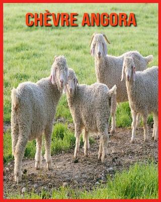 Book cover for Chèvre Angora