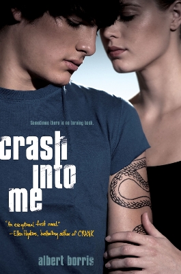 Book cover for Crash into Me