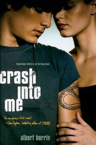 Cover of Crash into Me